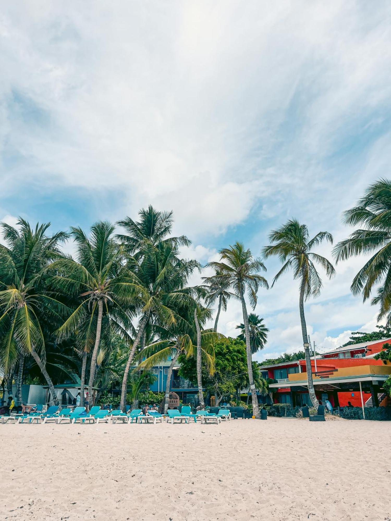 Hotel Cocoplum Beach San Andrés Eksteriør bilde
