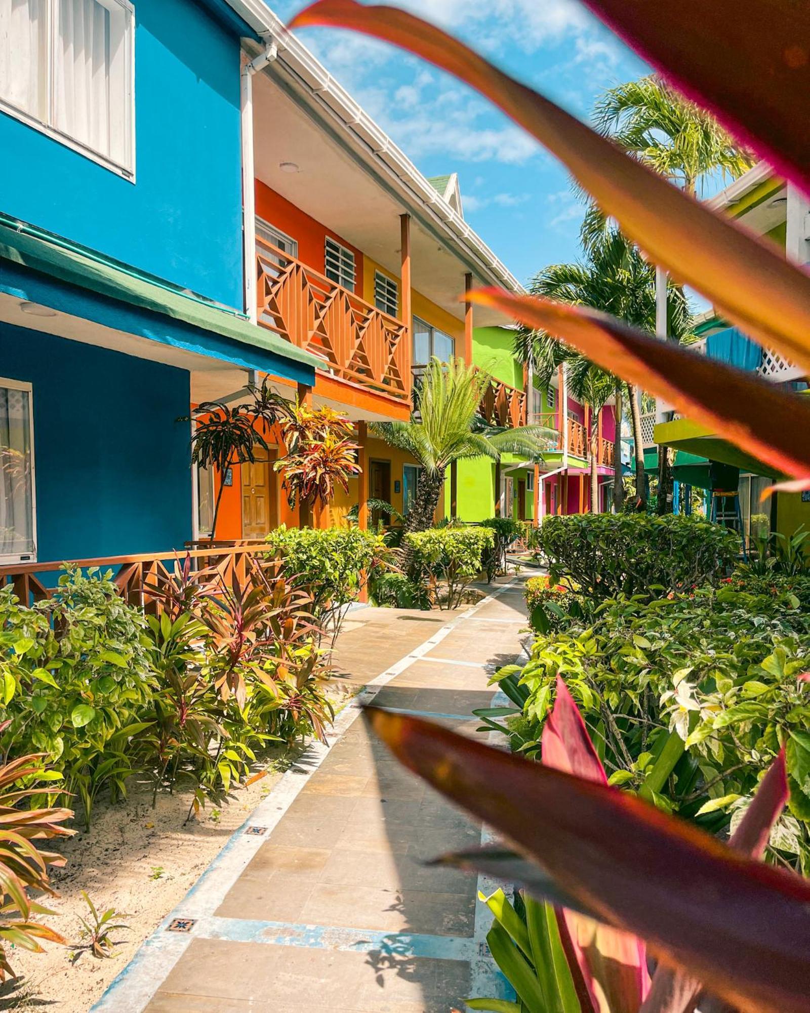 Hotel Cocoplum Beach San Andrés Eksteriør bilde